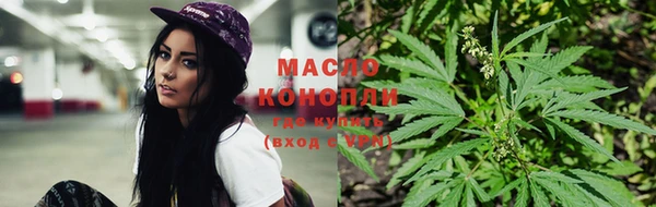 молекула духа Ельня