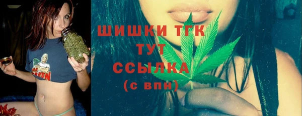 молекула духа Ельня