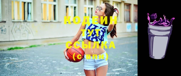 молекула духа Ельня