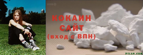 молекула духа Ельня