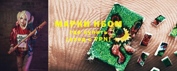 гидропоника Елабуга