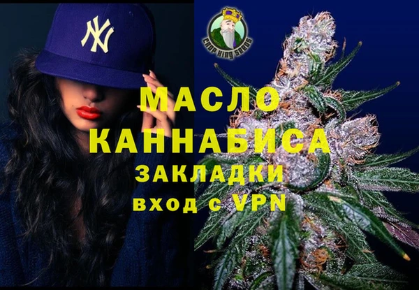 молекула духа Ельня