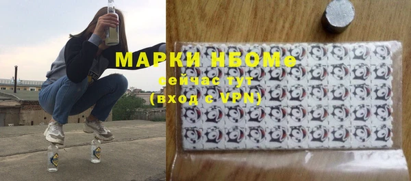 молекула духа Ельня
