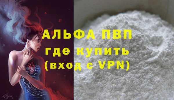 молекула духа Ельня