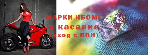 молекула духа Ельня