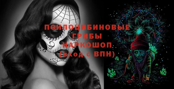 гидропоника Елабуга